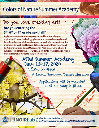 Electronic Poster: Colors of Nature Summer Academy - ASDM Summer Academy