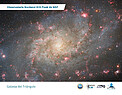 Handouts: Observatorio Nacional Kitt Peak de NSF