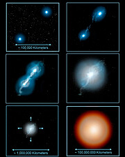 Some Rare Abnormal Stars may have White Dwarf Parents to Blame