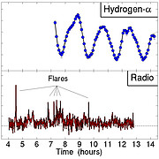 Odd Little Star has Magnetic Personality