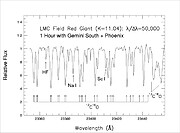 Sample Phoenix spectrum