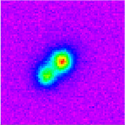 Original Gemini South detection image obtained on August 18, 2003 with PHOENIX