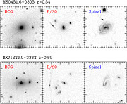 HST images of cluster members