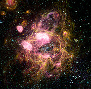 N11 in the Large Magellanic Cloud