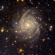 Spiral Galaxy IC 342