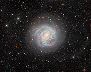 The Southern Pinwheel Galaxy (rotated)