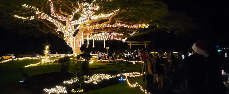 Garden Enchantment at Liliʻuokalani Gardens in Hilo, Hawaiʻi.