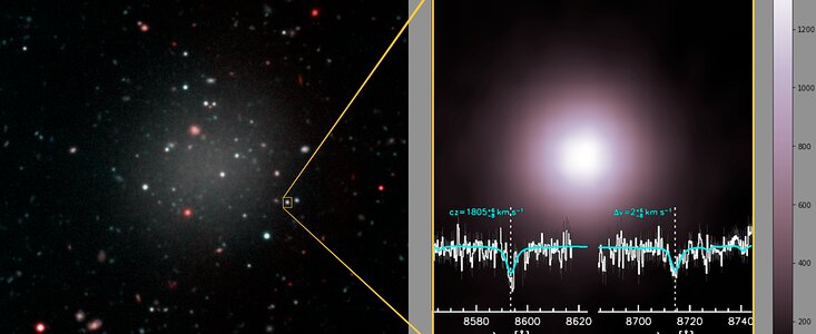 Dark Matter is a No Show in Ghostly Galaxy