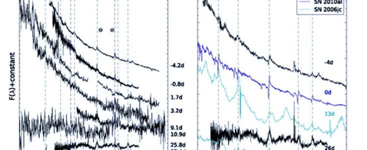 Spectra of PS15dpn from the combined GMOS, PESSTO and SNIFS campaign