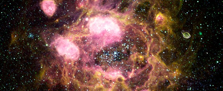 N11 in the Large Magellanic Cloud