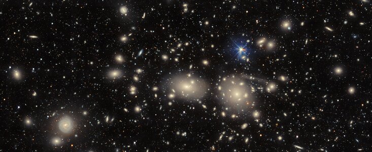 Coma Cluster