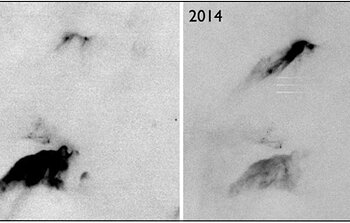 Don’t Blink: A Light Show in a Dynamic Stellar Nursery