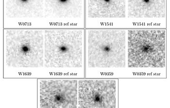 Are the Coolest Brown Dwarfs Loners?