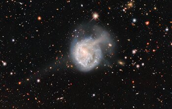 The Tidal Tales of NGC 922