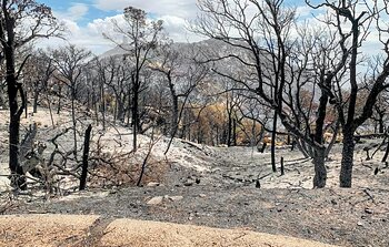 Incendio forestal alcanza al Observatorio Kitt Peak en Arizona