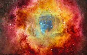 Radiant Stars at the Heart of a Cosmic Rose