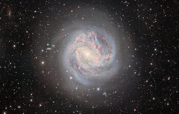 Dark Energy Camera Spies the Outskirts of the Swirling Southern Pinwheel Galaxy