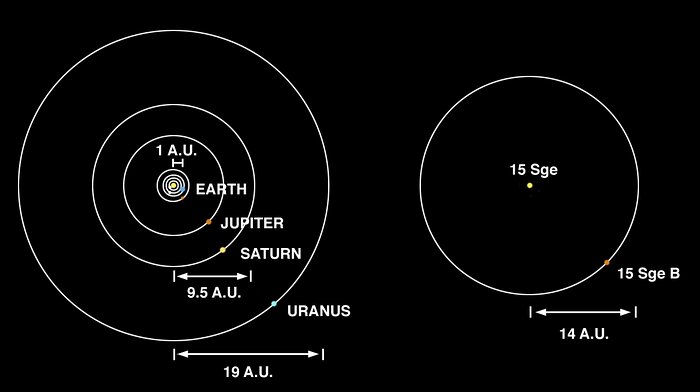 The brown dwarf