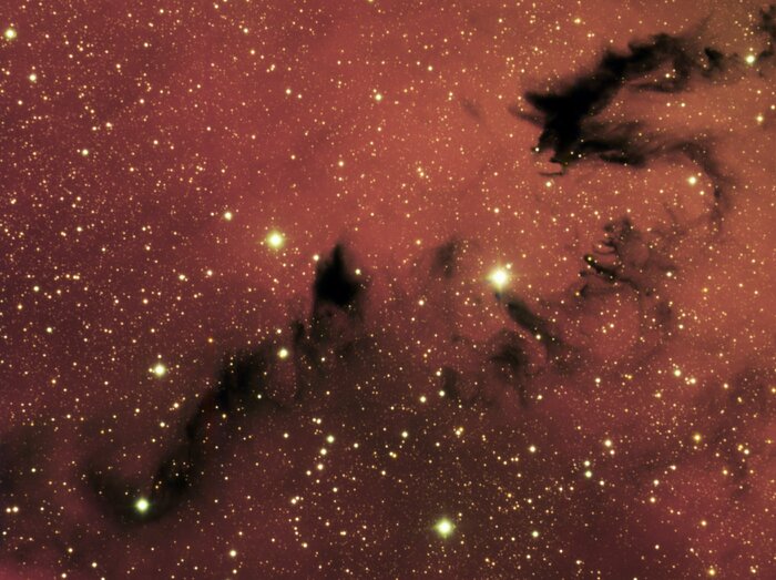 Chinese Dragon NGC 6559