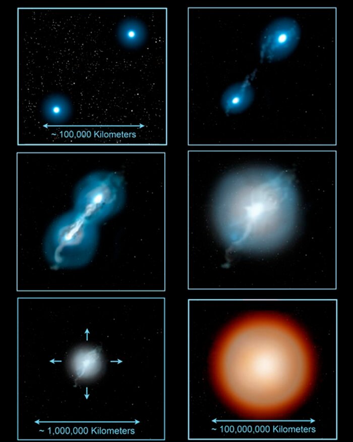 Some Rare Abnormal Stars may have White Dwarf Parents to Blame