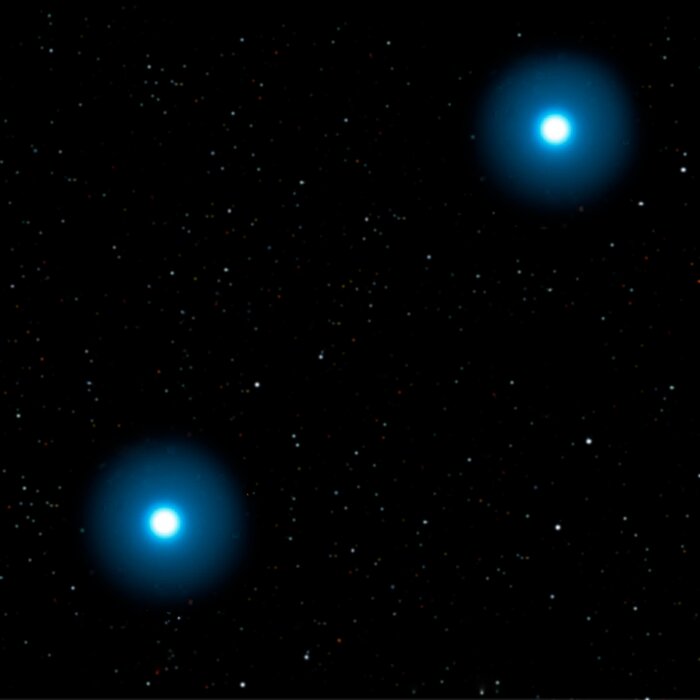 Some Rare Abnormal Stars may have White Dwarf Parents to Blame