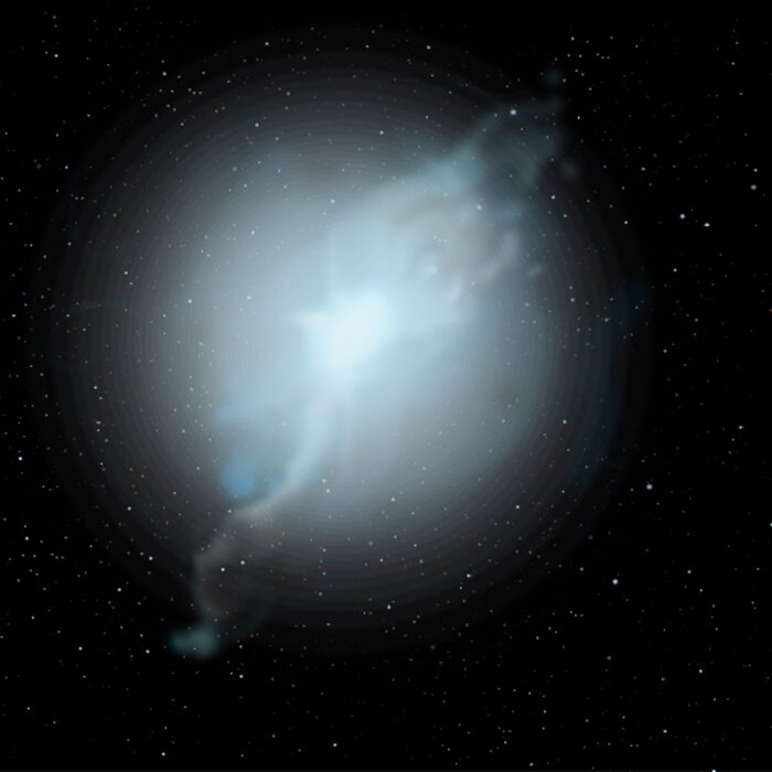 Some Rare Abnormal Stars may have White Dwarf Parents to Blame