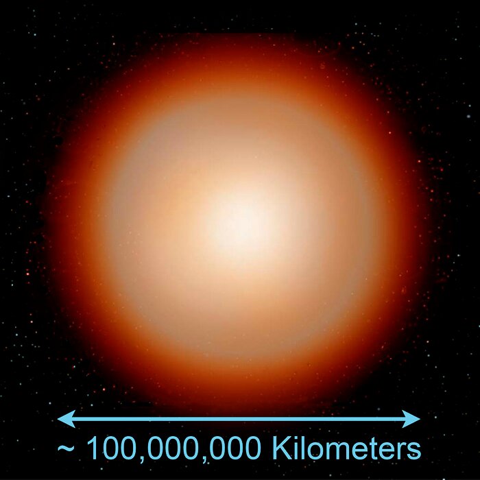 Some Rare Abnormal Stars may have White Dwarf Parents to Blame