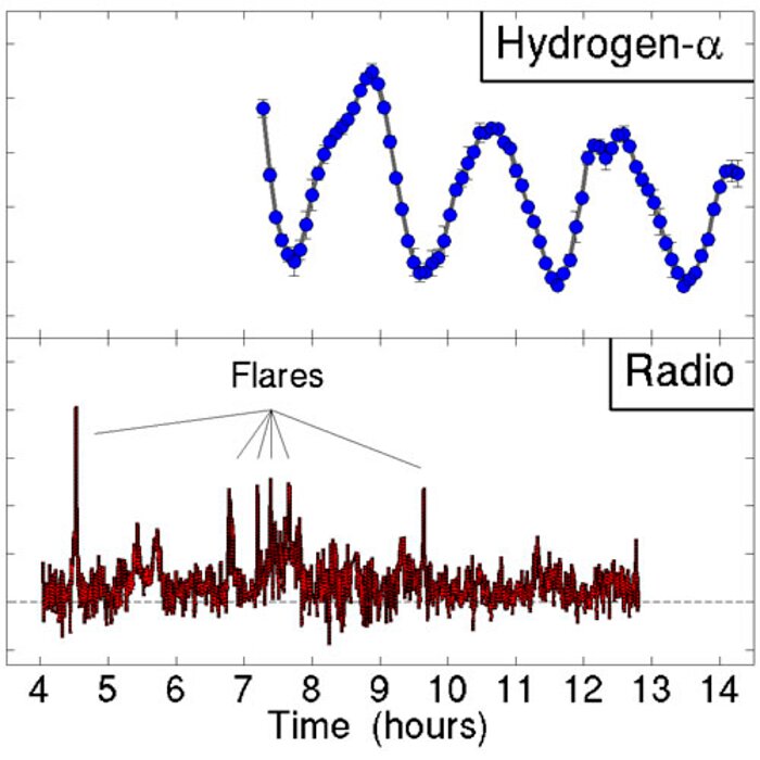 Odd Little Star has Magnetic Personality