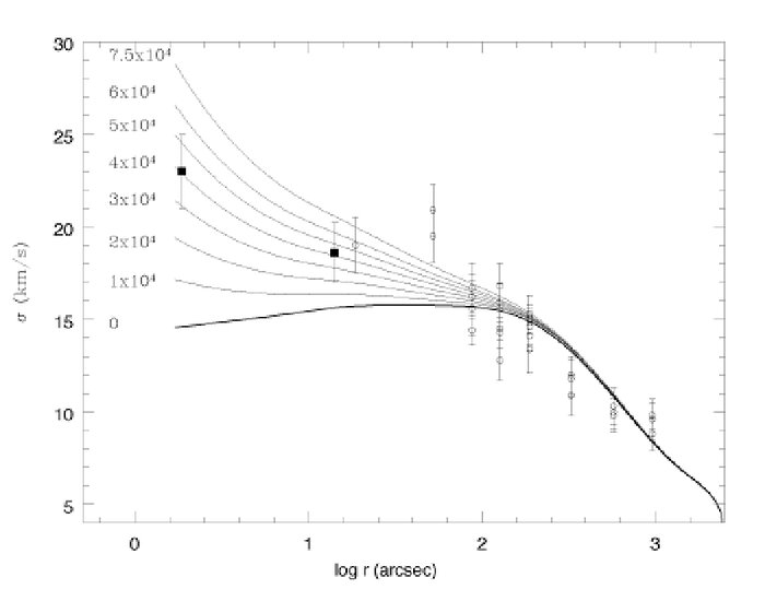 Spectacular Star Cluster May Host Black Hole Missing Link