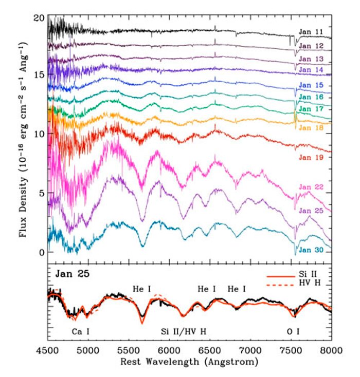 Catching the Light of a Baby Supernova