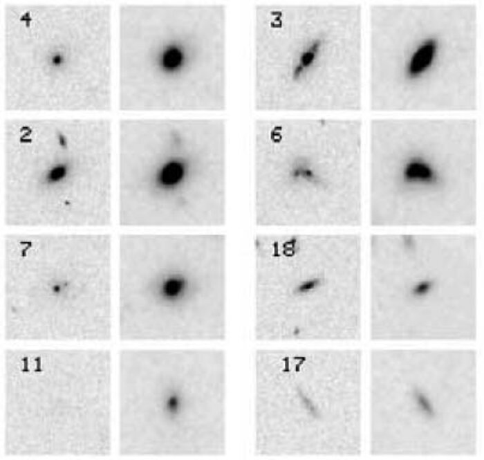 HST imaging with NICMOS and ACS allowed the study of galaxy morphologies in the young cluster