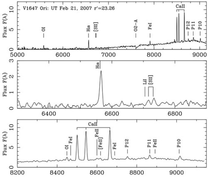 Optical spectroscopy of V1647 Orionis