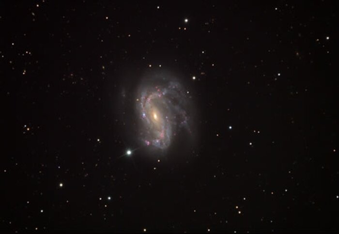 Optical image of NGC 4051