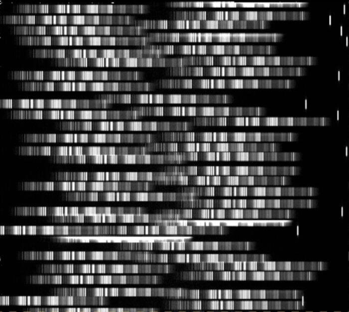 GMOS spectra in the GCLASS survey