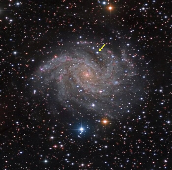 Spiral galaxy NGC 6946 and SN 2017eaw