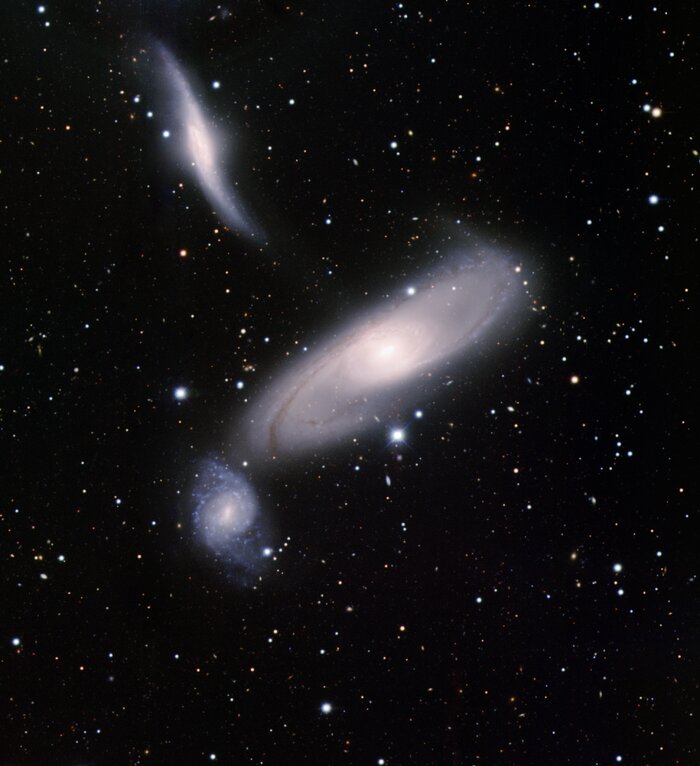 Arp 286 (NGC 5560, 5566 & 5569)