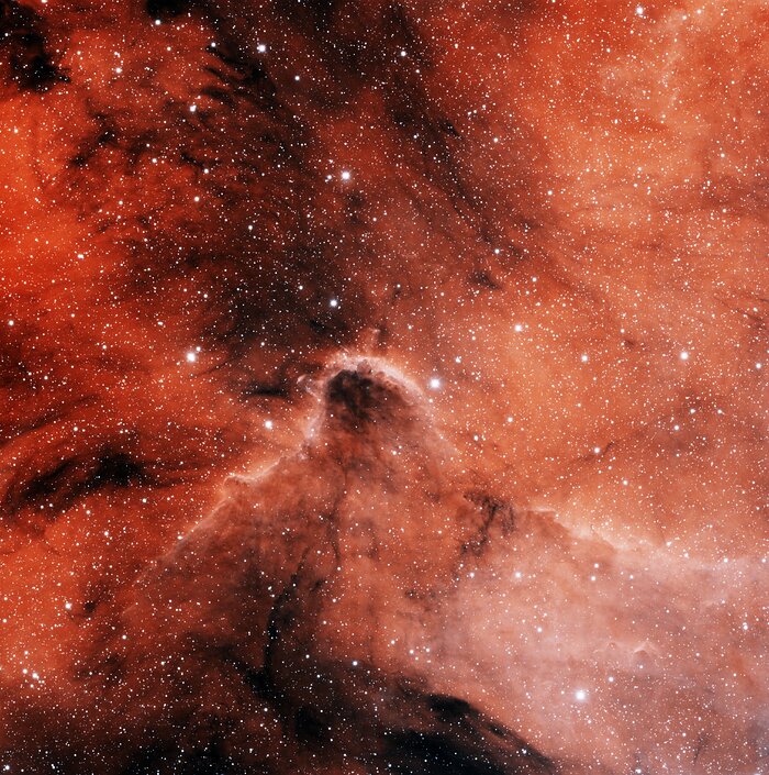 IC 1396 North