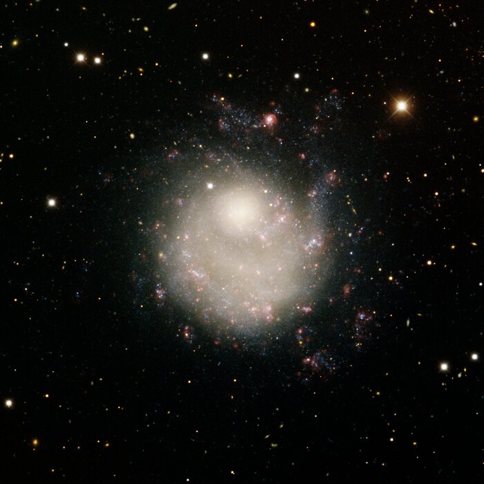 Dwarf Galaxy NGC 5474