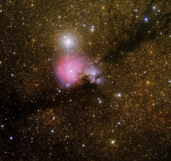 Sh2-82, Cocoon Nebula