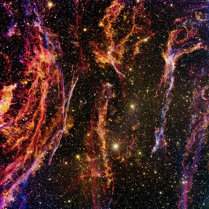 Veil Filaments (Cygnus Loop)