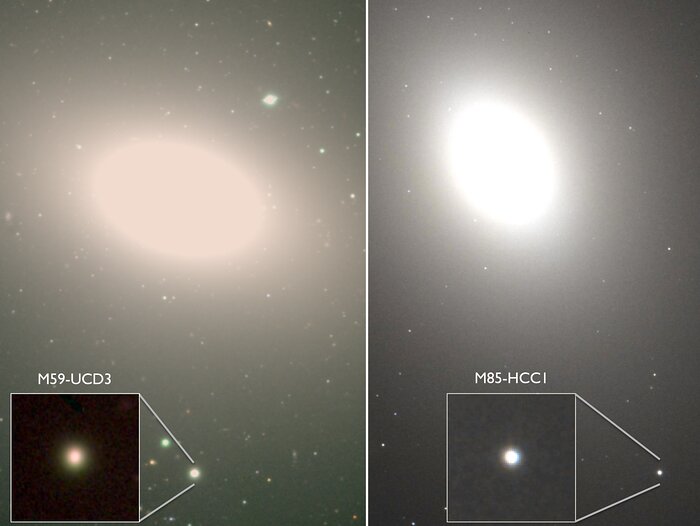 Hiding in Plain Sight: Undergraduates Discover the Densest Galaxies Known