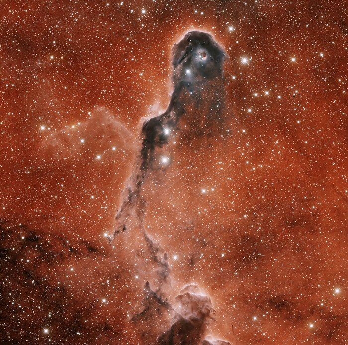 IC 1396A Elephant Trunk Nebula