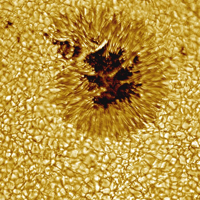 Sunspot from the NSO Sacramento Peak Vacuum Tower Telescope