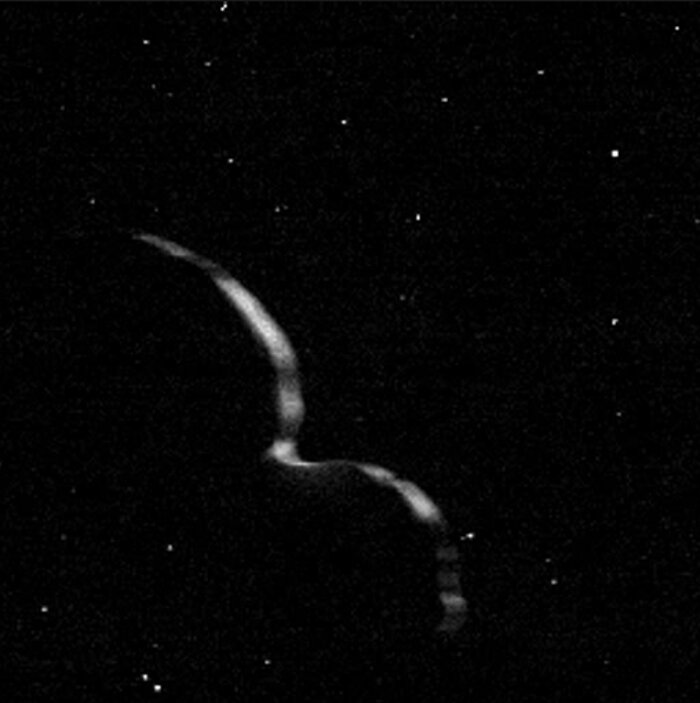 The Truly Odd Shape of Ultima Thule