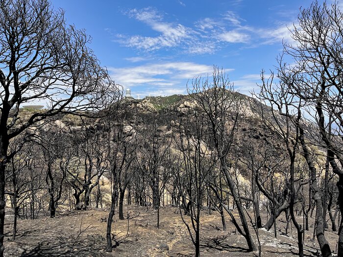 Kitt Peak National Observatory after the Contreras Fire