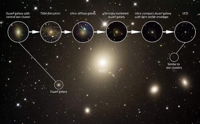 Morphological sequence from dwarf galaxy to UCD