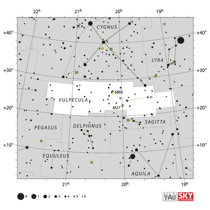 Vulpecula