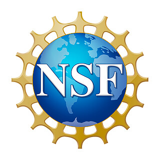 Logo: NSF