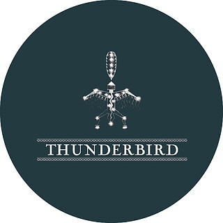 Logo: THUNDERBIRD CIRCLE