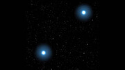 Some Rare Abnormal Stars may have White Dwarf Parents to Blame